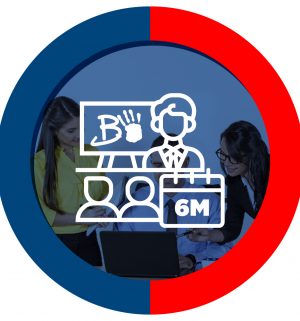 Semillero Bienestar Institucional (semestre)